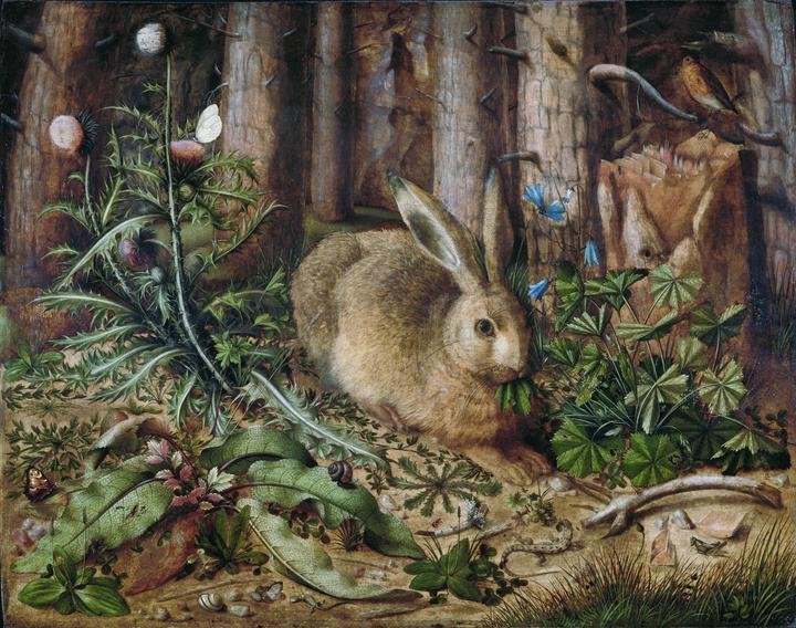 A Hare in the Forest 1585