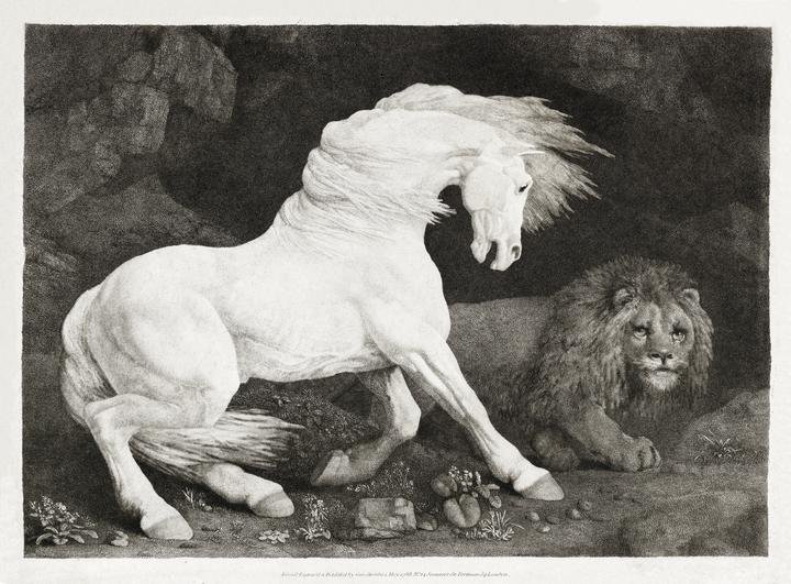 A Horse Affrighted at a Lion