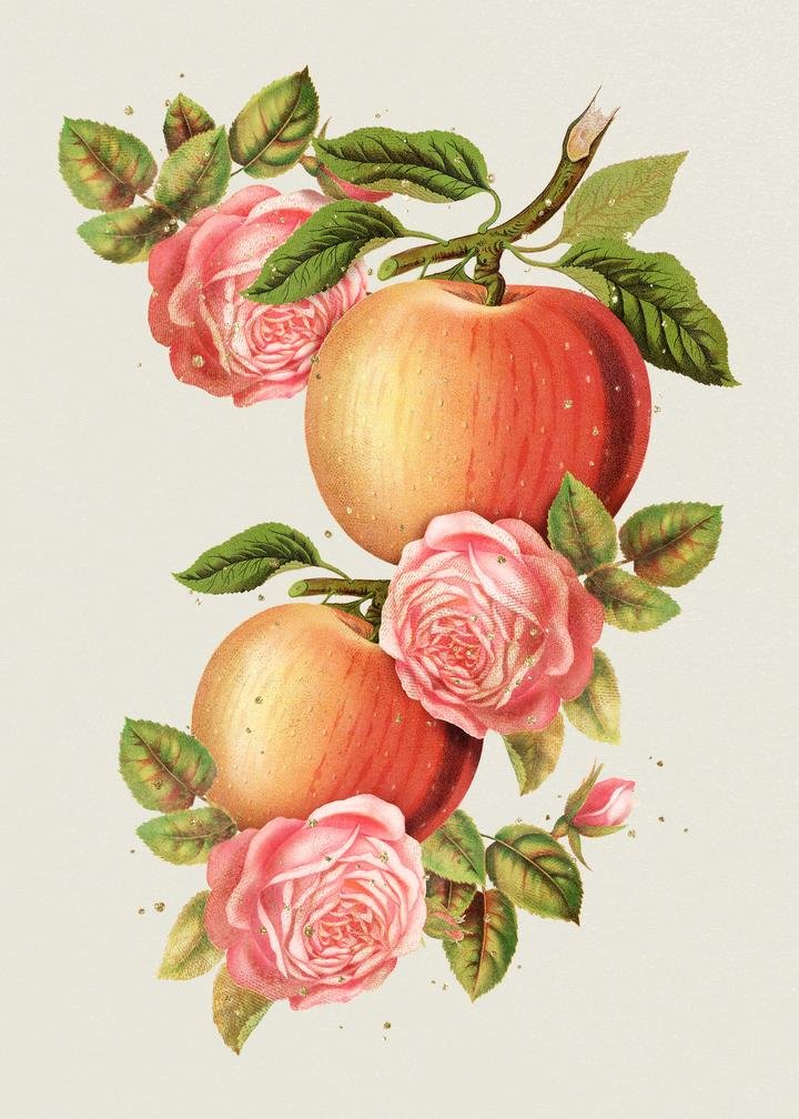 Aesthetic apple blossom sticker-vintage flower