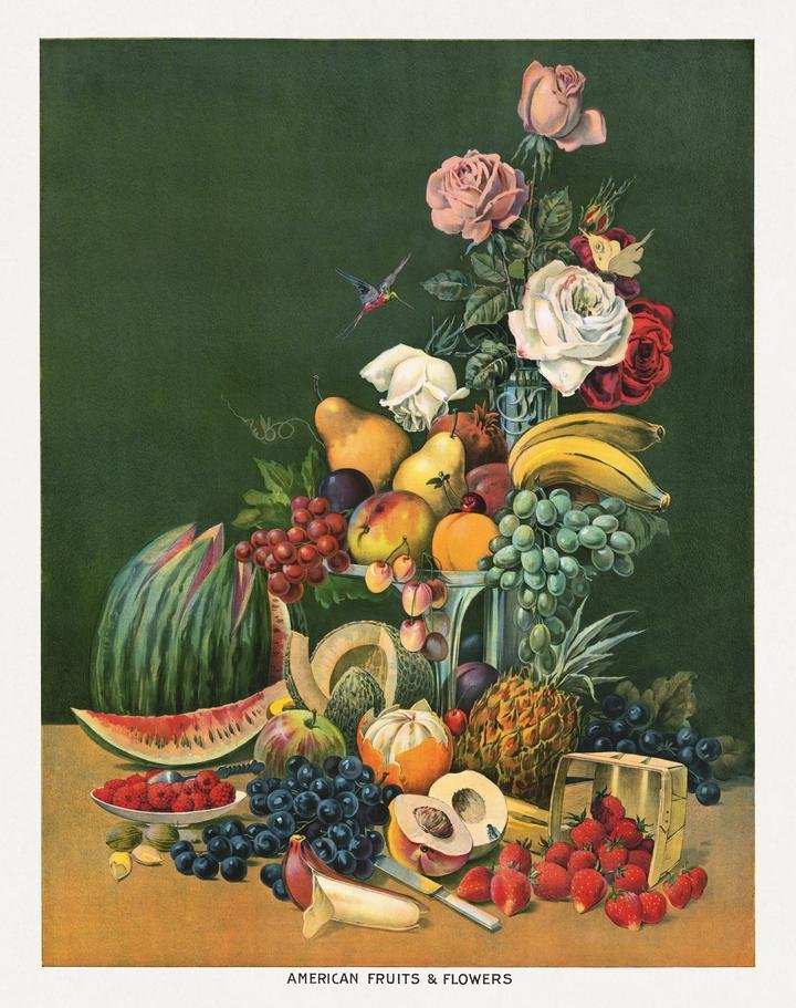 American fruits-flowers-1899-chromolithograph.