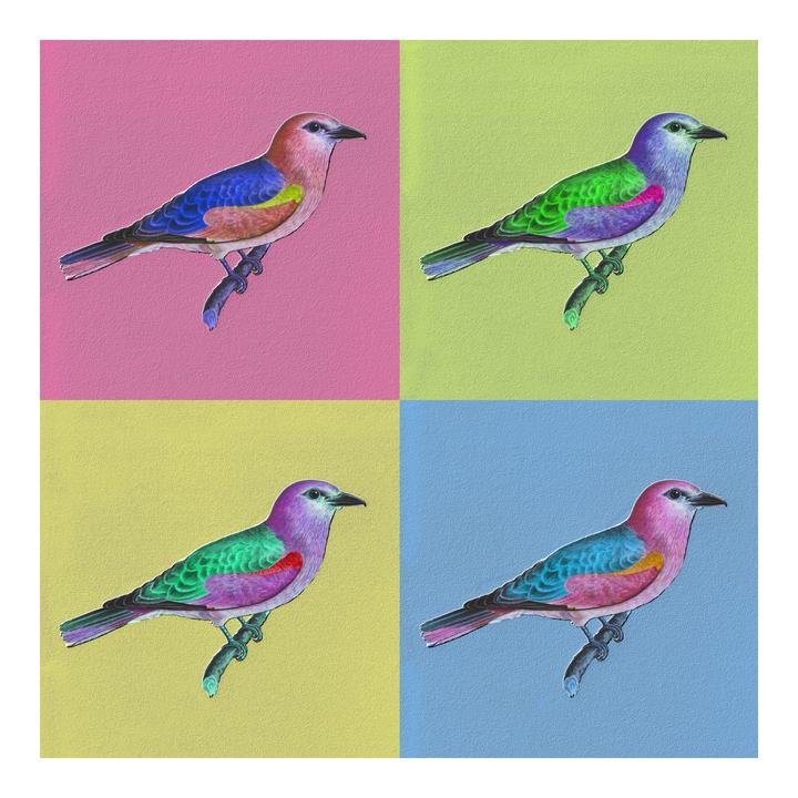 Animal & Birds Art 19