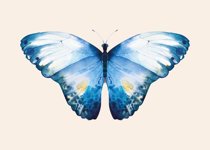 Animal & Birds Art 2