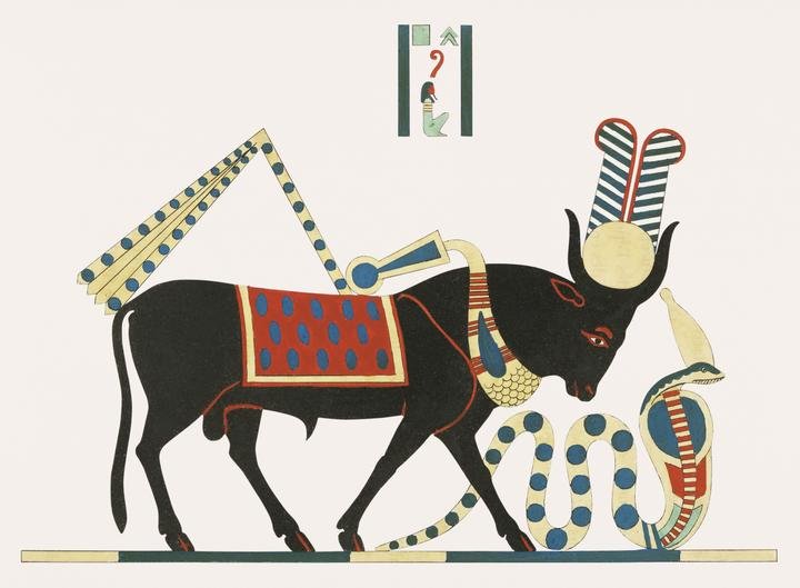 Apis illustration from Pantheon Egyptien (1823-1825)