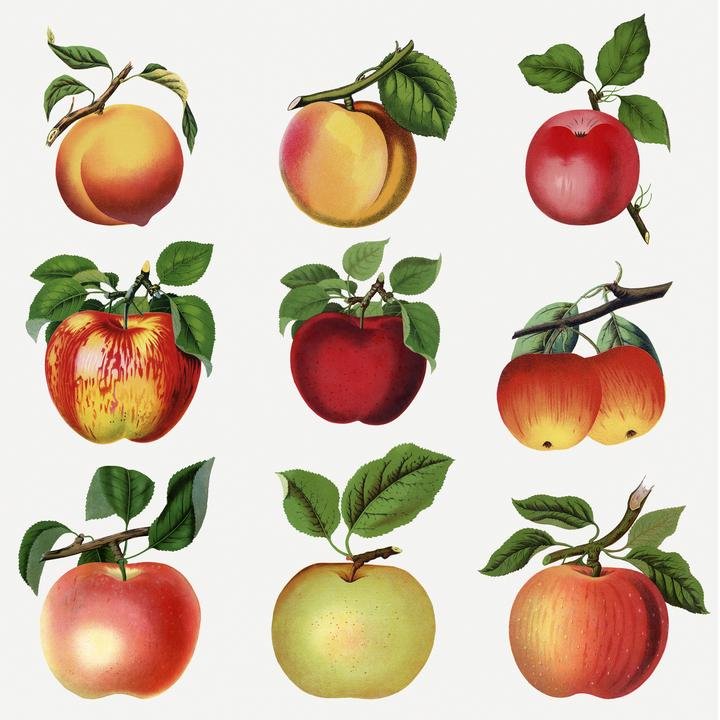 Apple-peach variety sticker-mixed