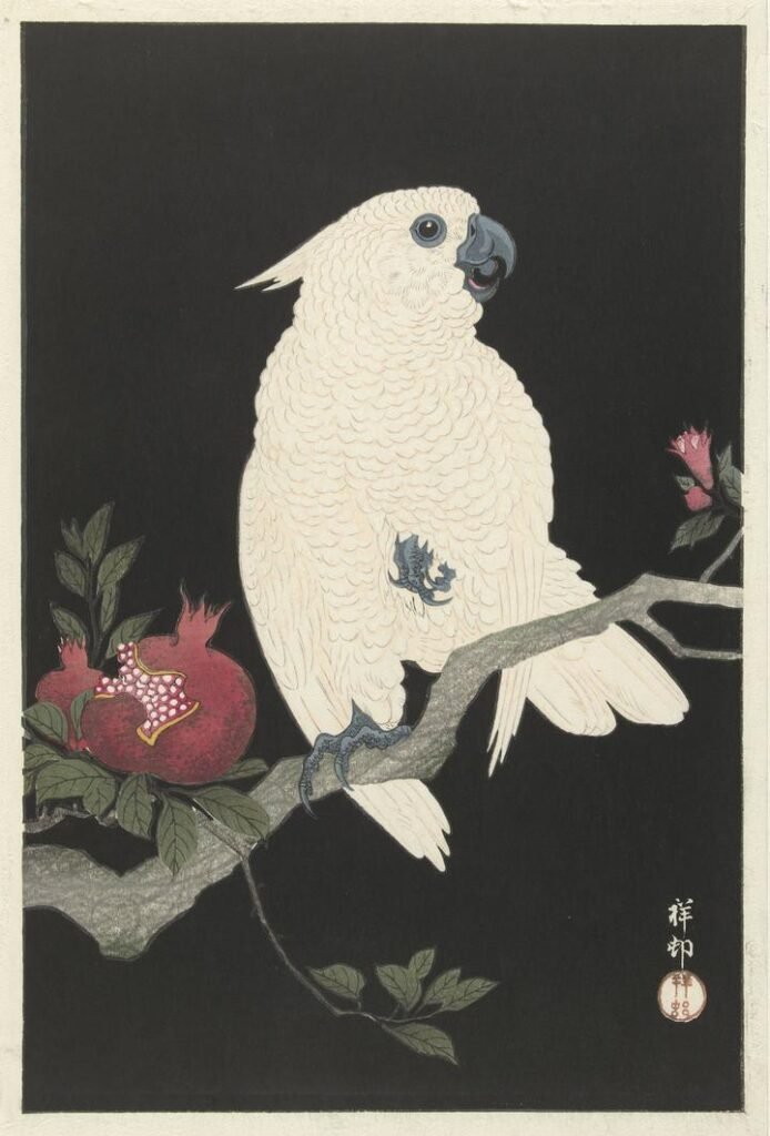 Cockatoo and pomegranate (1925-1936)