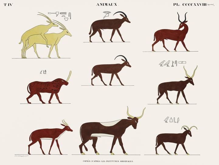 Monuments de l Egypte et de la Nubie 2 (1835–1845)