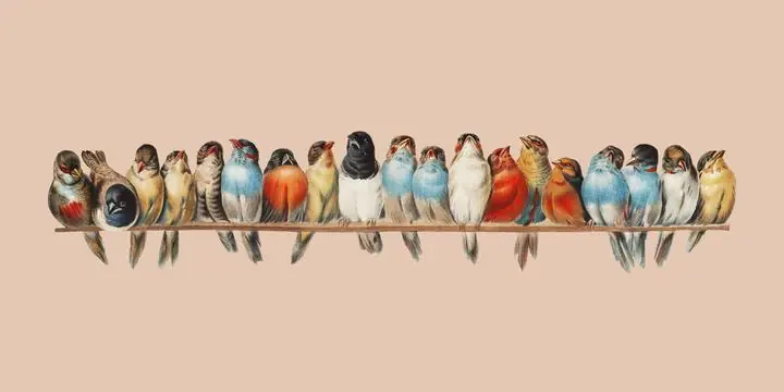 A Perch of Birds