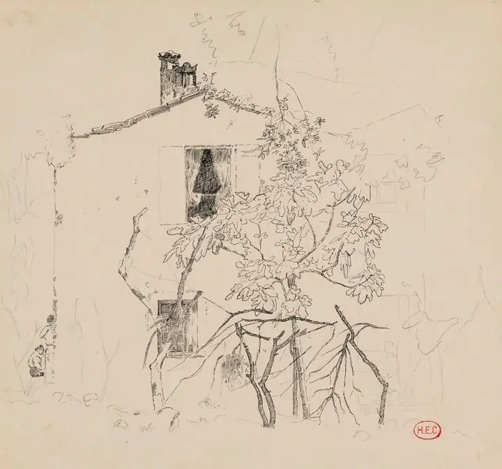 A house behind a tree
