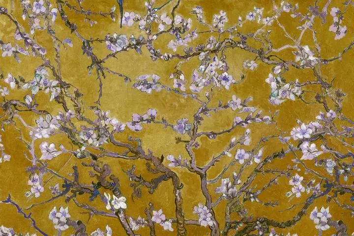 Almond blossom