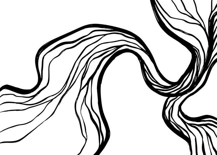 Black Abstract Art Lines