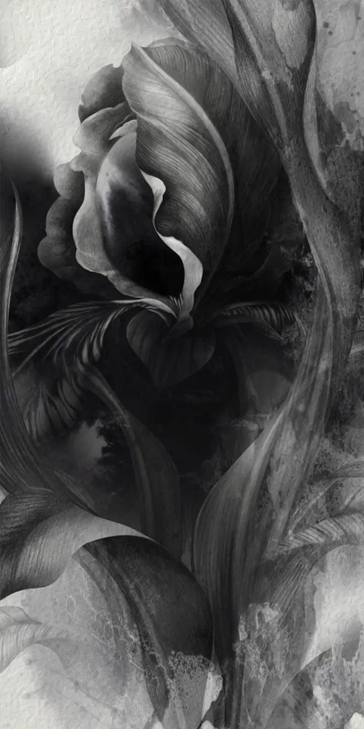 Black Tulip Flower, Wall Art, Decor Wall Art, Decor Wall Art G, Wallpaper, Wall Art, Acrylic, Stretch Ceiling, Glass Film, Wall Mural, Home Decor, Kids, Bedroom, living room, Office, UV Print, Flat bed, Embossed, Artist, Design, Canvas, Canvas Print, Art Prints, Foamboard, Sand Art, Vinyl, Tote Bag, Leather, Rexine, Carpet, Mat, Backlit Fabric, ACP, Print, Metal, Surat, Gujarat, India