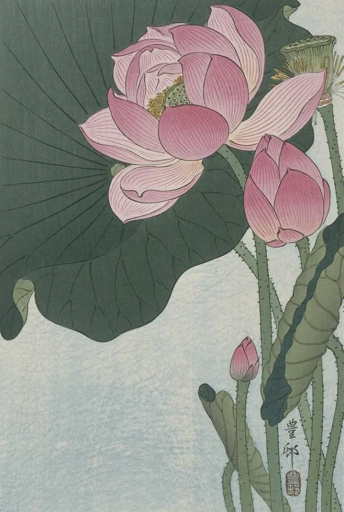 Blooming lotus flowers (1920-1930)