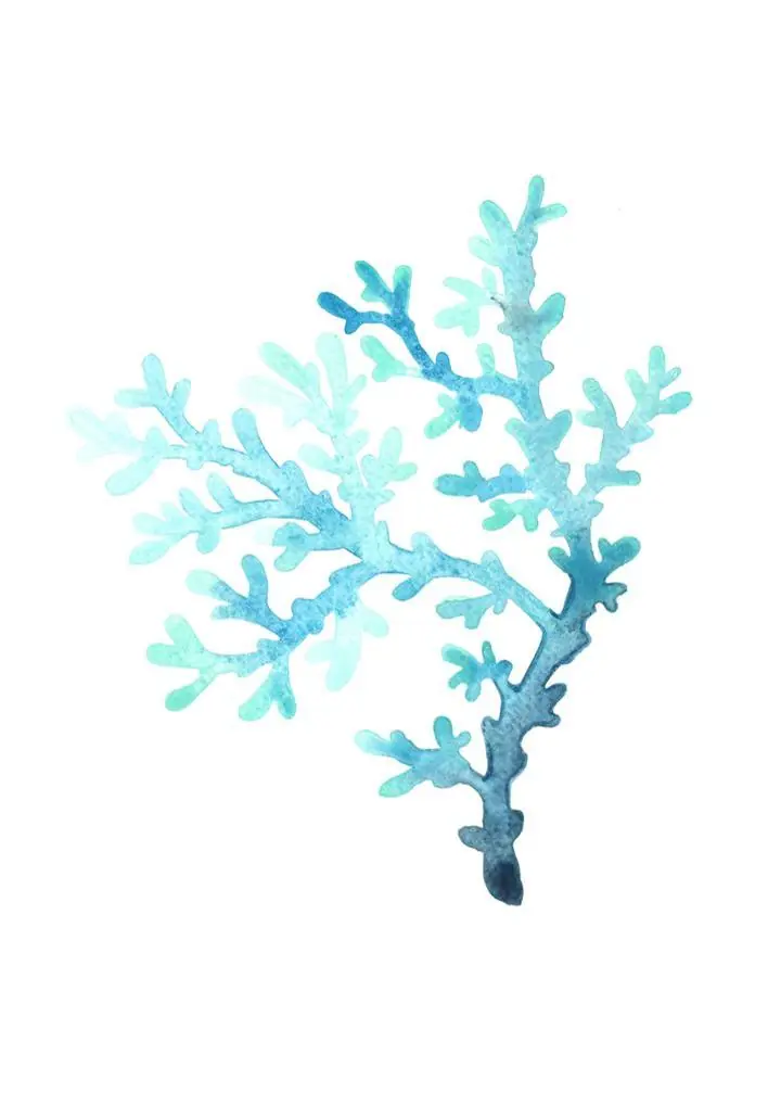 Blue Coral Branch 2
