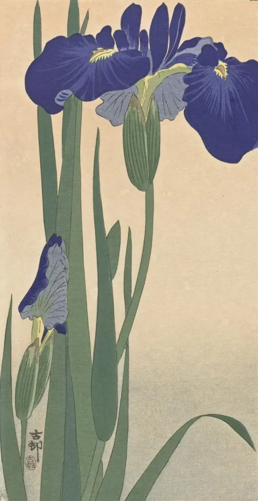 Blue Irises (1900-1930)