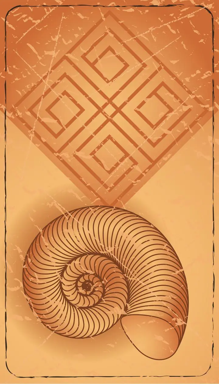 Brown Ammonite Shell, Wall Art, Decor Wall Art, Decor Wall Art E, Wallpaper, Wall Art, Acrylic, Stretch Ceiling, Glass Film, Wall Mural, Home Decor, Kids, Bedroom, living room, Office, UV Print, Flat bed, Embossed, Artist, Design, Canvas, Canvas Print, Art Prints, Foamboard, Sand Art, Vinyl, Tote Bag, Leather, Rexine, Carpet, Mat, Backlit Fabric, ACP, Print, Metal, Surat, Gujarat, India