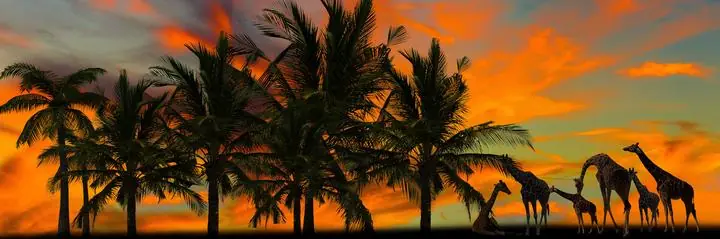 Brown Giraffe Green Palm Tree Orange