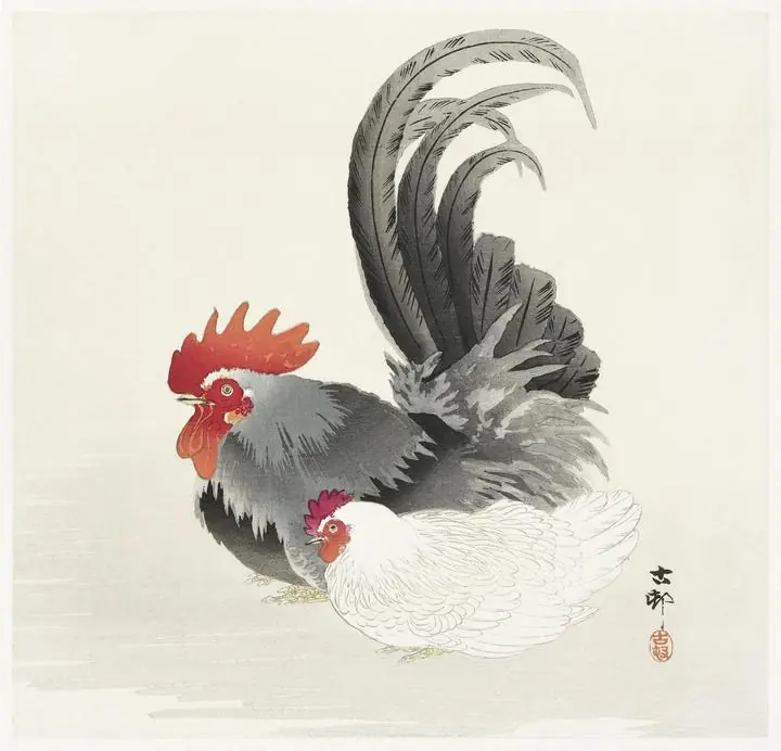Chicken and cock 1900-1936