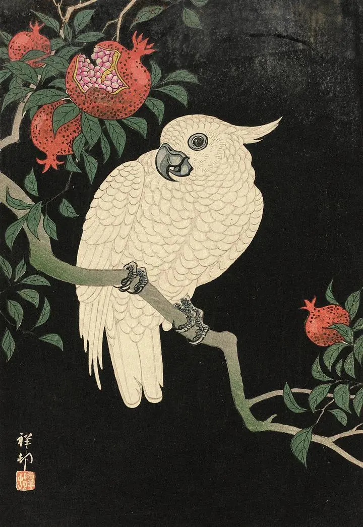 Cockatoo And Pomegranate (20TH Century), Paintings, Ohara Koson, Wallpaper, Wall Art, Acrylic, Stretch Ceiling, Glass Film, Wall Mural, Home Decor, Kids, Bedroom, living room, Office, UV Print, Flat bed, Embossed, Artist, Design, Canvas, Canvas Print, Art Prints, Foamboard, Sand Art, Vinyl, Tote Bag, Leather, Rexine, Carpet, Mat, Backlit Fabric, ACP, Print, Metal, Surat, Gujarat, India