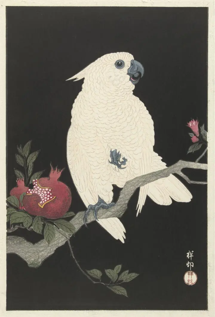 Cockatoo And Pomegranate (1925-1936), Paintings, Ohara Koson, Wallpaper, Wall Art, Acrylic, Stretch Ceiling, Glass Film, Wall Mural, Home Decor, Kids, Bedroom, living room, Office, UV Print, Flat bed, Embossed, Artist, Design, Canvas, Canvas Print, Art Prints, Foamboard, Sand Art, Vinyl, Tote Bag, Leather, Rexine, Carpet, Mat, Backlit Fabric, ACP, Print, Metal, Surat, Gujarat, India