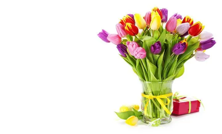 Colorful Tulips In Vase