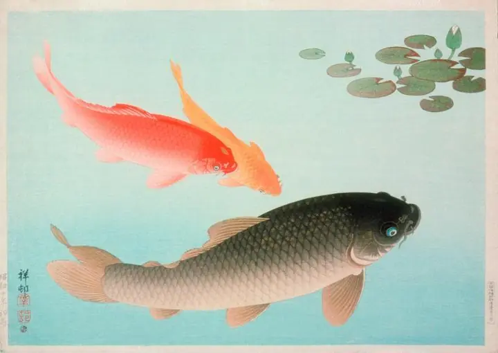 Common And Golden Carp (1935)