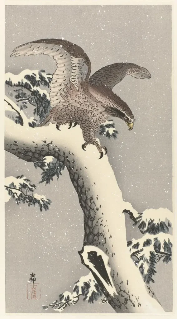 Eagle on snowy pine tree (1887-1930)