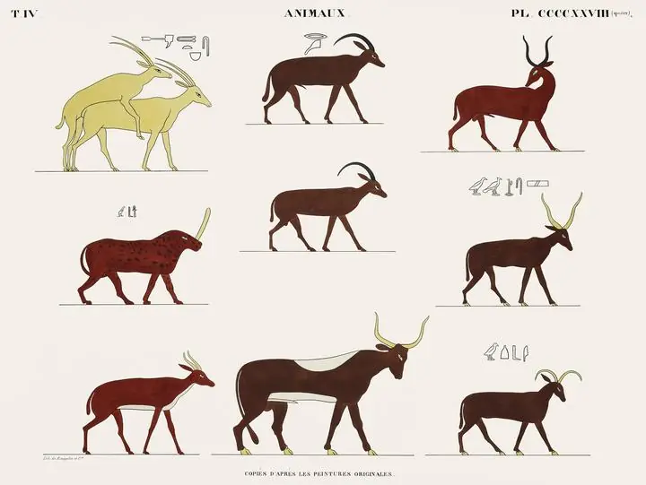 Monuments de l Egypte et de la Nubie 2 (1835–1845)