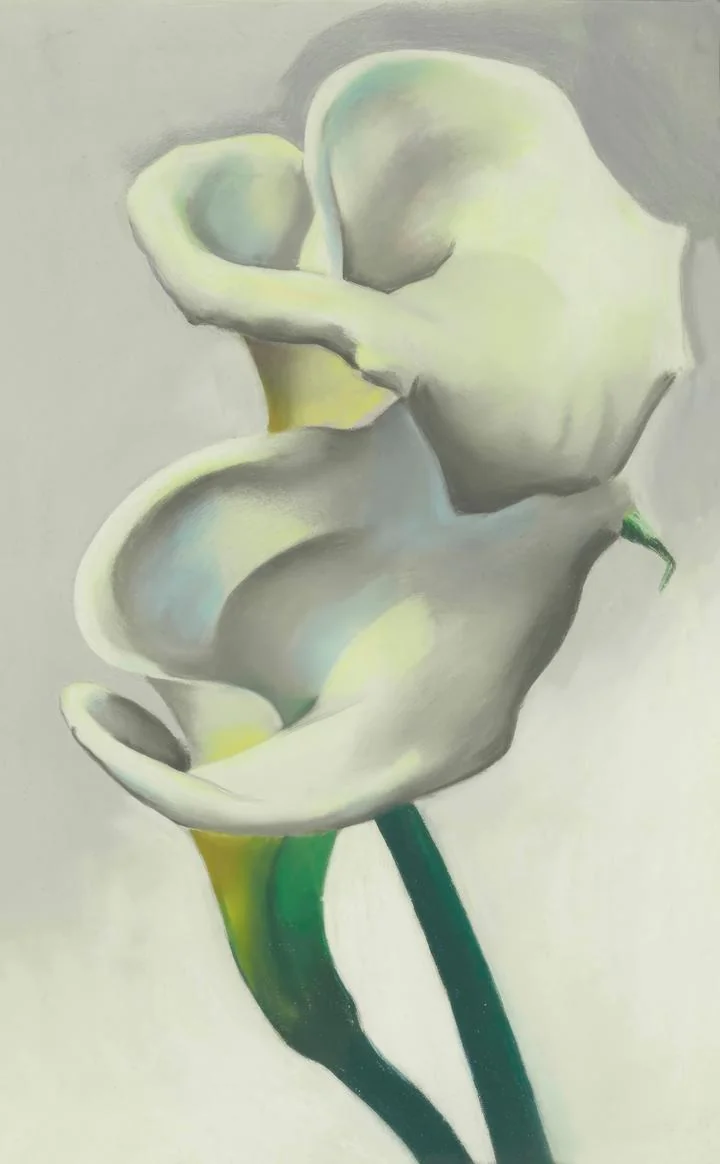 Two Calla Lilies Together (1923), Paintings, Georgia O Keeffe, Wallpaper, Wall Art, Acrylic, Stretch Ceiling, Glass Film, Wall Mural, Home Decor, Kids, Bedroom, living room, Office, UV Print, Flat bed, Embossed, Artist, Design, Canvas, Canvas Print, Art Prints, Foamboard, Sand Art, Vinyl, Tote Bag, Leather, Rexine, Carpet, Mat, Backlit Fabric, ACP, Print, Metal, Surat, Gujarat, India