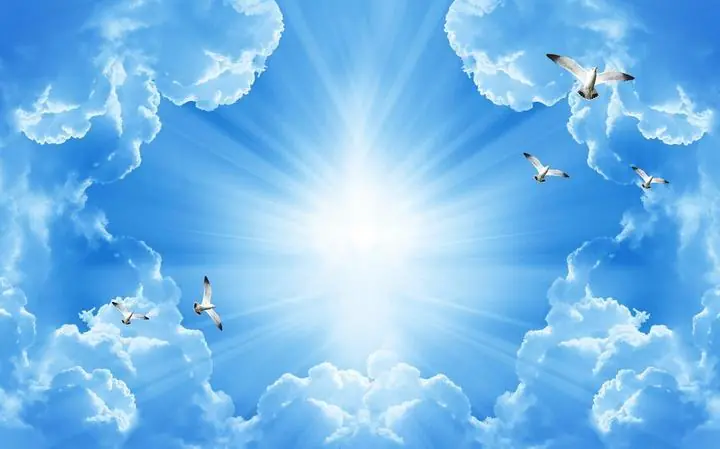 White Seagull Blue Sky Cloud Sun